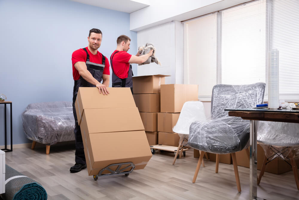 Packing And Moving Services Surprise